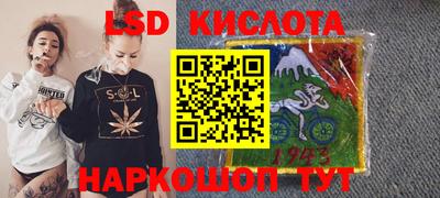 шишки Можга