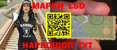 шишки Можга