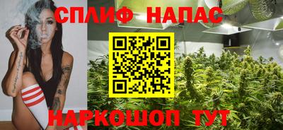 шишки Можга