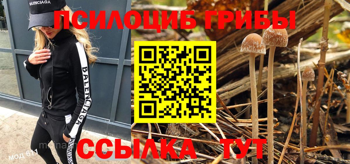 Среднеуральск  Галлюциногенные грибы мухоморы  Псилоцибиновые грибы ЛСД  купить наркоту  Вход с VPN 