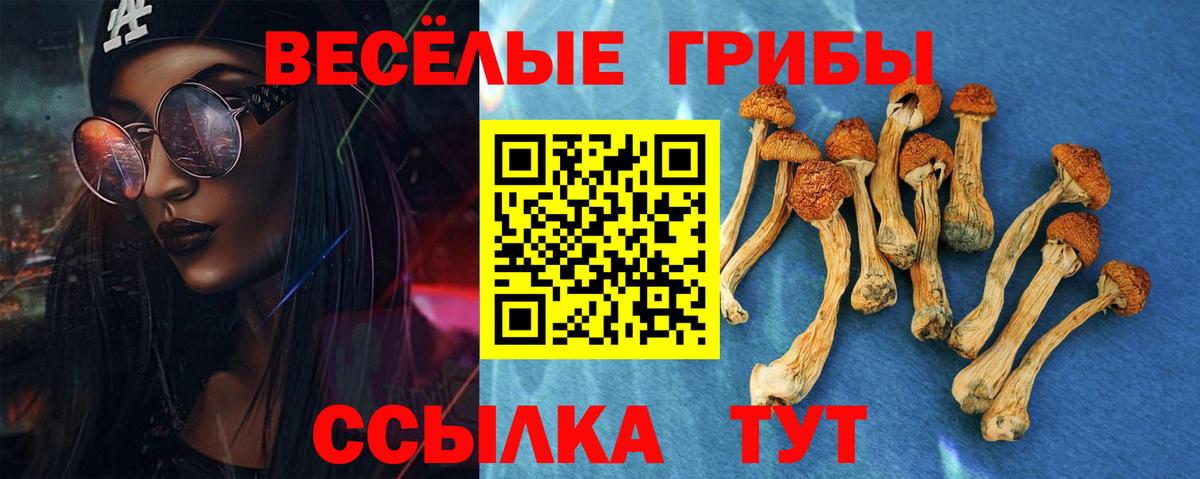 Псилоцибиновые грибы Cubensis Среднеуральск